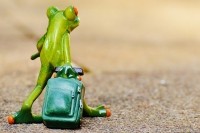 Frosch mit Koffer zieht von dannen